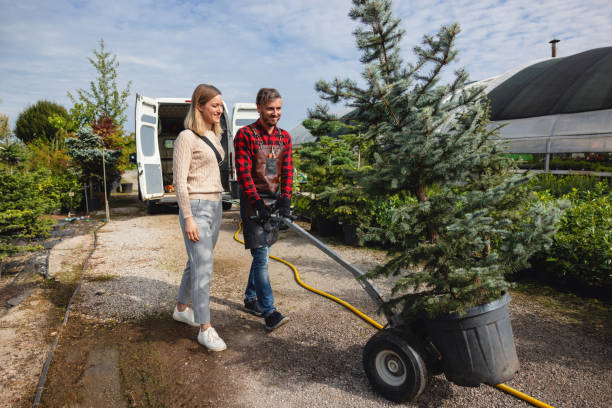 Best Tree Pruning Services  in Park City, UT